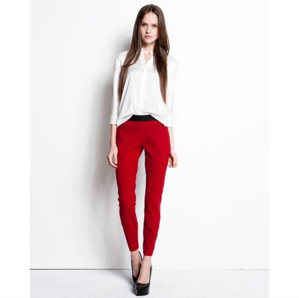 Theory skinny pull on pants